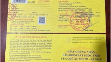 Lỗi bảo hiểm xe máy hết hạn phạt bao nhiêu tiền?
